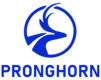 pronghorn